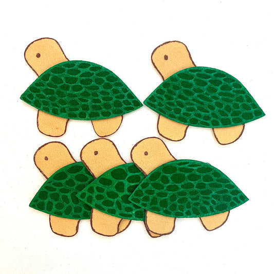 Cinq petites tortues