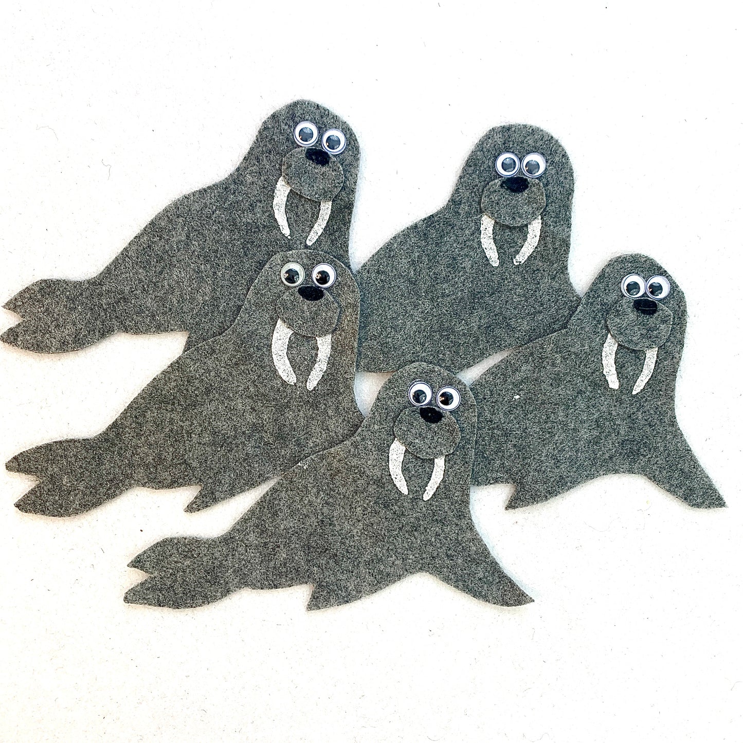 5 Large Walruses