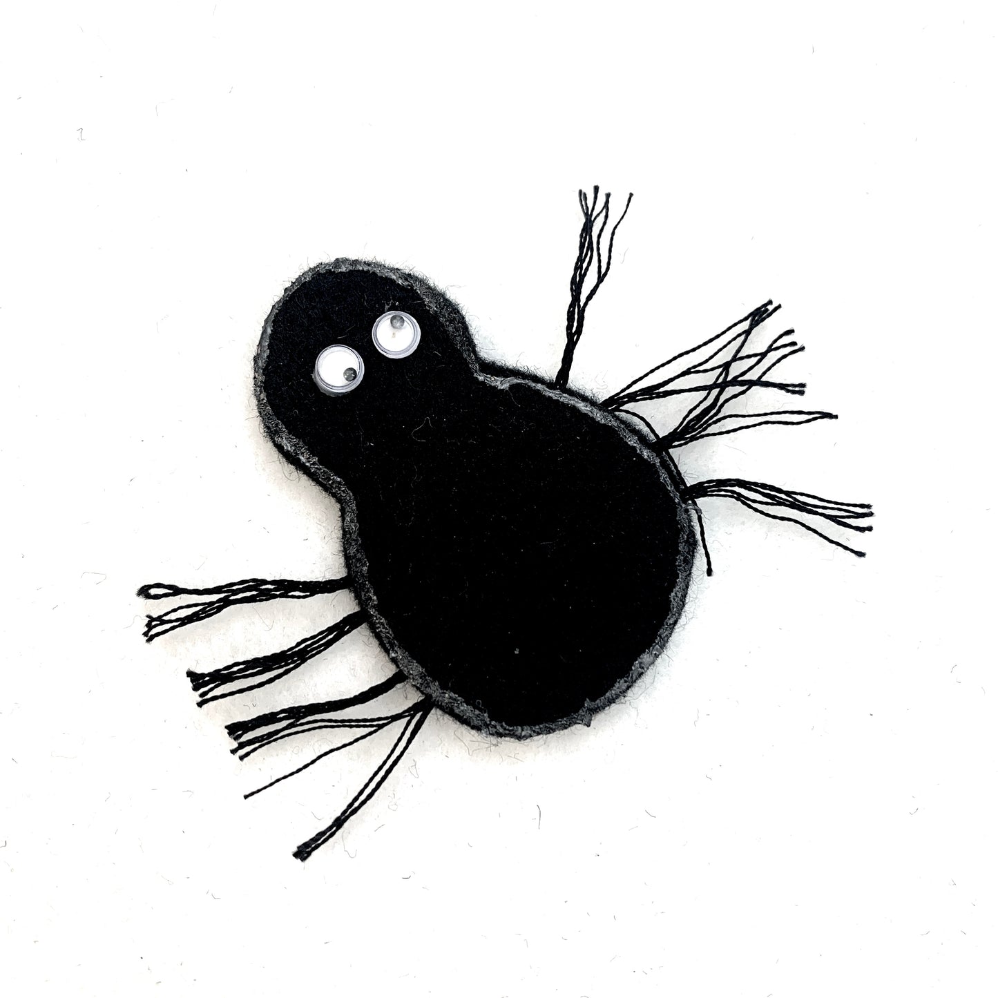 Araignée sur le sol