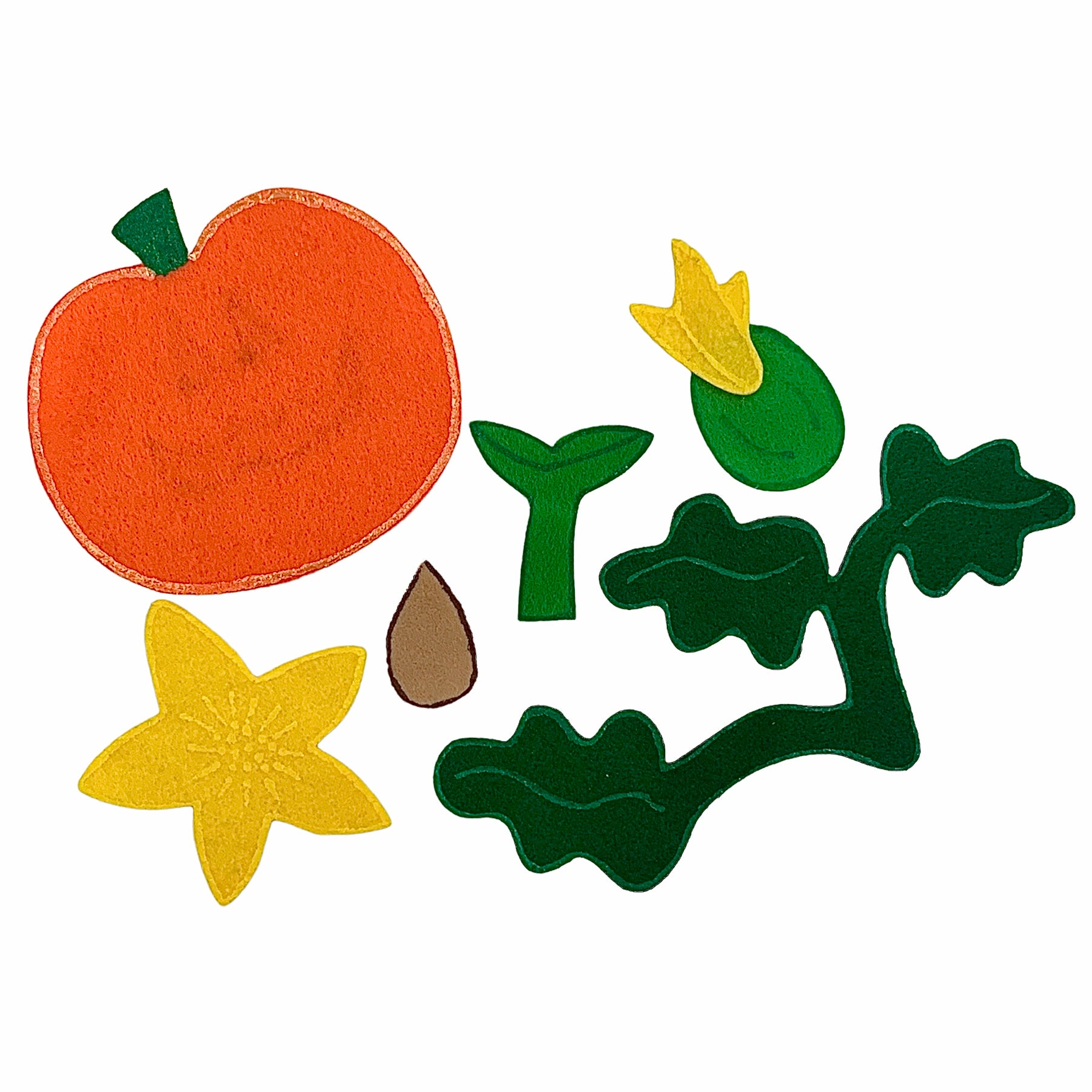 Pumpkin Life Cycle Heartfelt Stories pumpkin-life-cycle-heartfelt-stories