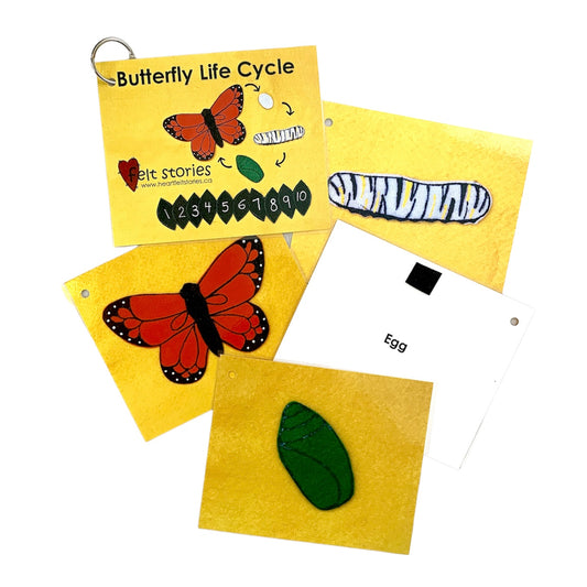 Butterfly Life Cycle - Flash Cards