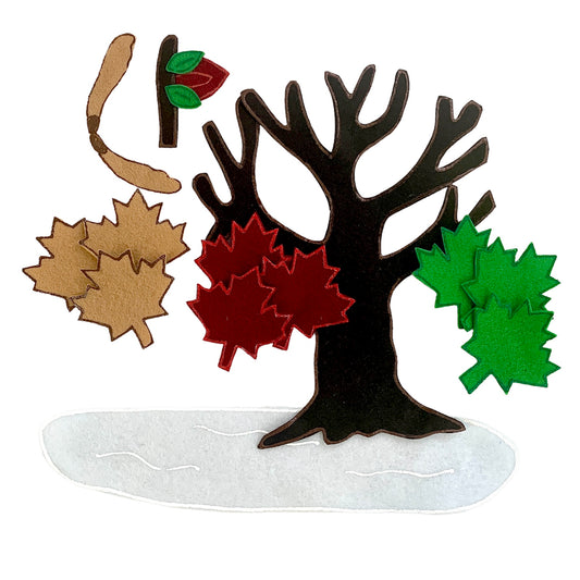 Seasons Life Cycle
