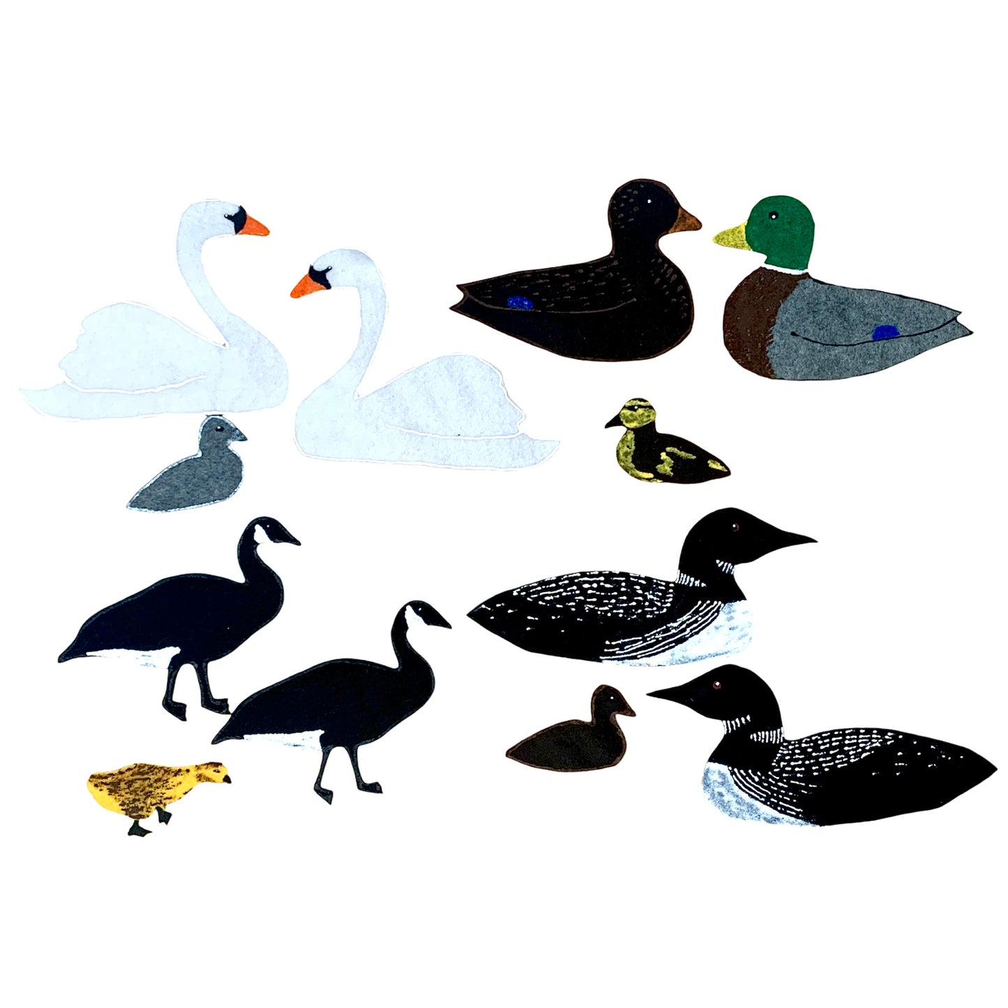 Waterfowl