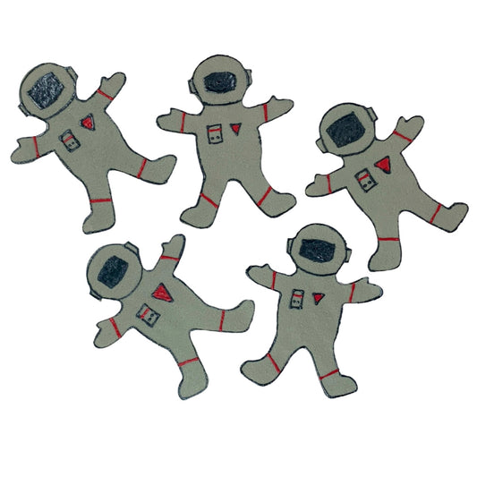 Five Brave Astronauts